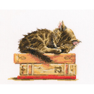 Borduurblad productfoto Borduurpakket RTO ‘Cat’s Dream’